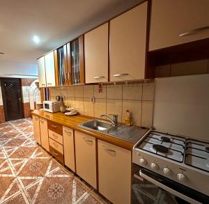 a kitchen with a sink and a stove at Apartament Băile Herculane in Băile Herculane