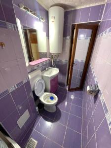 a purple bathroom with a toilet and a mirror at Apartament Băile Herculane in Băile Herculane