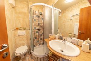 克拉尼斯卡戈拉Apartma Brlog Petra, Kranjska Gora的带水槽、淋浴和马桶的浴室
