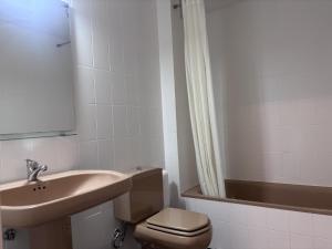 a bathroom with a sink and a toilet at El Rinconin I in Cangas de Onís