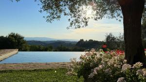 een uitzicht op een meer met een boom en bloemen bij Casale di Villore in Poggibonsi