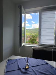 Galeriebild der Unterkunft Doma Toma, Bela Palanka Town in Bela Palanka