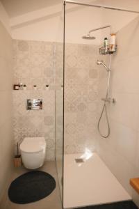 un bagno con wc e doccia in vetro di Casa Quieto a Motovun (Montona)