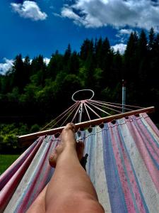 Afbeelding uit fotogalerij van Casa Teodor Rucăr Casă de oaspeți in Rucăr
