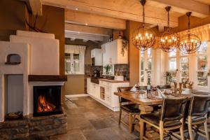 a kitchen with a fireplace and a table and chairs at Landhaus-zum-Wilddieb in Ilsenburg