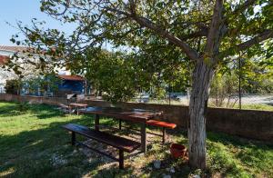 Vonkajšia záhrada v ubytovaní Apartment Seline - Paklenica Riviera 35389
