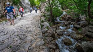 Hostia v ubytovaní Apartment Seline - Paklenica Riviera 35389