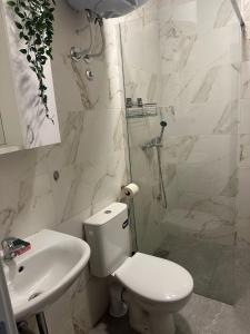 Koupelna v ubytování Apt 6- Sokobanjica apartmani