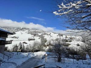 Obiekt Les Chalets Des Evettes - Agréable appartement au pied des pistes MAE-1724 zimą