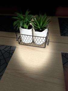 Afbeelding uit fotogalerij van Côté Pyrénées - Lourdes in Lourdes