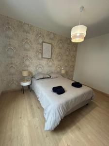 een slaapkamer met een groot bed met twee zakken erop bij Côté Pyrénées - Lourdes in Lourdes