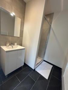 een badkamer met een wastafel en een douche bij Côté Pyrénées - Lourdes in Lourdes