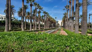a row of palm trees in a park at Studio sympa in Casablanca