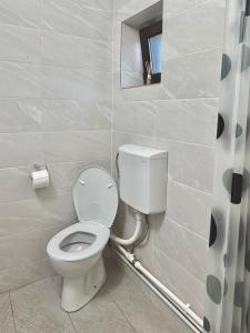 a bathroom with a white toilet and a window at Alexander Home in Techirghiol
