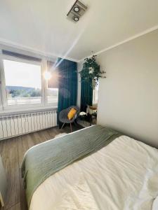 a bedroom with a large bed and a window at Apartament Panorama Żory in Żory