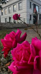 Fotografie z fotogalerie ubytování sky village batumi v destinaci Batumi