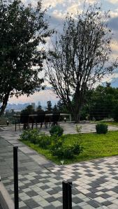 Fotografie z fotogalerie ubytování sky village batumi v destinaci Batumi