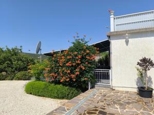 En have udenfor Apartment Snjezana + 30 billeder