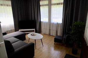 Posezení v ubytování Olkkolan Hovi resort