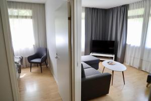 TV a/nebo společenská místnost v ubytování Olkkolan Hovi resort
