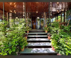a porch with plants and stairs in front of a building at Lumi i Jetës in Dajç