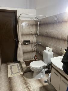 a small bathroom with a toilet and a shower at AGGELIKI STUDIOS in Agios Georgios +26 photos