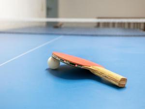 Tenis alebo squash v ubytovaní Schleicherhof I alebo jeho okolí