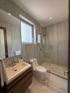 a bathroom with a toilet and a sink and a shower at Casa Arcos Chapultepec in Mexico City