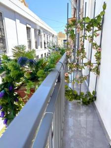 マラガにあるJARA HOME Malaga Centroの鉢植えのバルコニー
