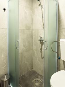 a shower with a glass door in a bathroom at Golubački visovi in Golubac +46 photos