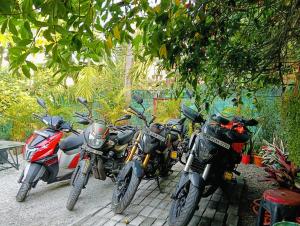 Zahrada ubytování The Green View Homestay Siliguri in