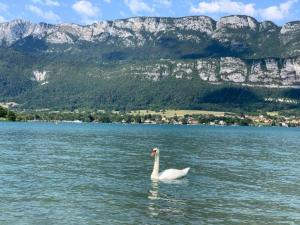 Fotografie z fotogalerie ubytování Charming Giez Apartment v destinaci Giez + 31 fotografií