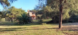 a house in the middle of a field with trees at Cabañas El Duende in Quines