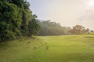 Golf kuurordi aladel või selle läheduses