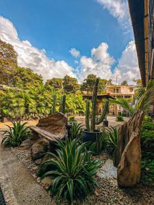 a garden with a bunch of cactuses and plants at Hotel Casa de Hadas in Minca