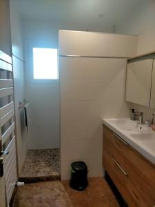 a small bathroom with a sink and a shower at Maison familiale 4 chambres, proche commerces et plage in Châtelaillon-Plage