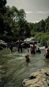 KūkkālにあるNeytiiri camping & stayのギャラリーの写真