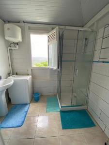 a bathroom with a shower and a toilet and a sink at Appartement confortable à Rivière Pilote 42 m² avec vue in Rivière-Pilote