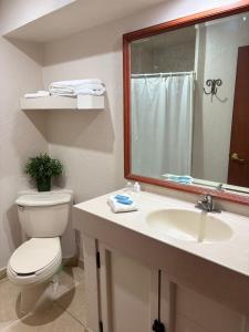 a bathroom with a toilet and a sink and a mirror at Hotel Plaza Ejecutivo in Tepatitlán de Morelos +23 photos