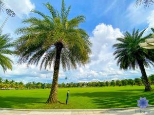 deux palmiers dans un parc avec un champ vert dans l'établissement Căn hộ cao cấp Masteri Centre Point Vinhomes Grand Park Quận 9 TPHCM, à Gò Công