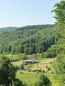 una casa in mezzo a un campo con alberi di Cabana Țibleș a Suplai