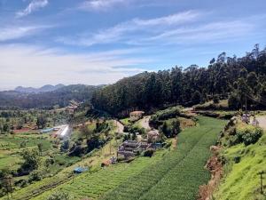 an aerial view of a farm on a hill at Wander homes in Ooty