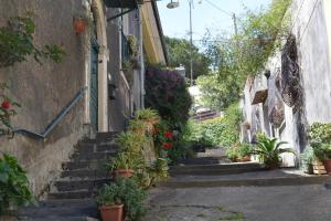 A garden outside Etna Hiking B&B