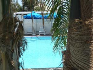 a swimming pool with chairs and a blue umbrella at Esperando in Maroni
