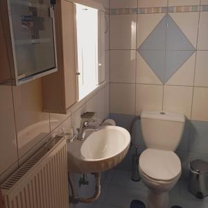 a bathroom with a toilet and a sink at DREAM Home Ioannina in Ioannina +11 photos
