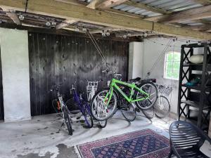 Jízda na kole v ubytování Høloftet bb nebo okolí
