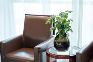 Posezení v ubytování Zhangjiajie Chensheng International Hotel