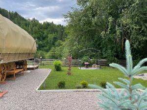 un jardín con una tienda y algunas plantas en White Spring Glamping, en Câmpulung Moldovenesc