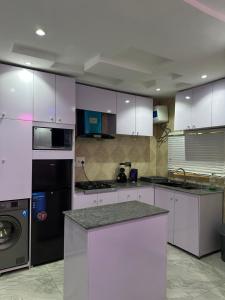 Kuchyň nebo kuchyňský kout v ubytování Sovic Smart Apartments