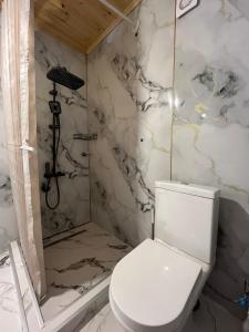 Gorists'ikheKvirike Cottage的带马桶和淋浴的浴室